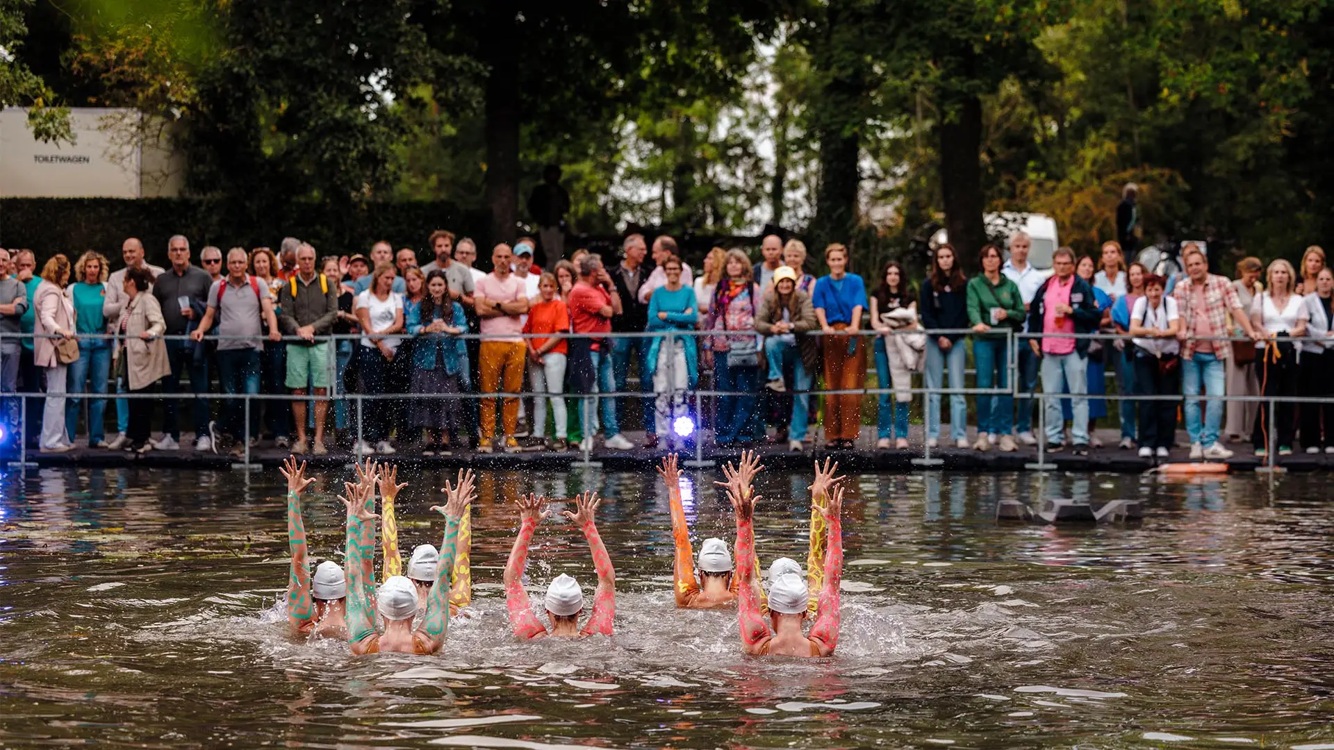 De Dolfijn Schoonzwemmers